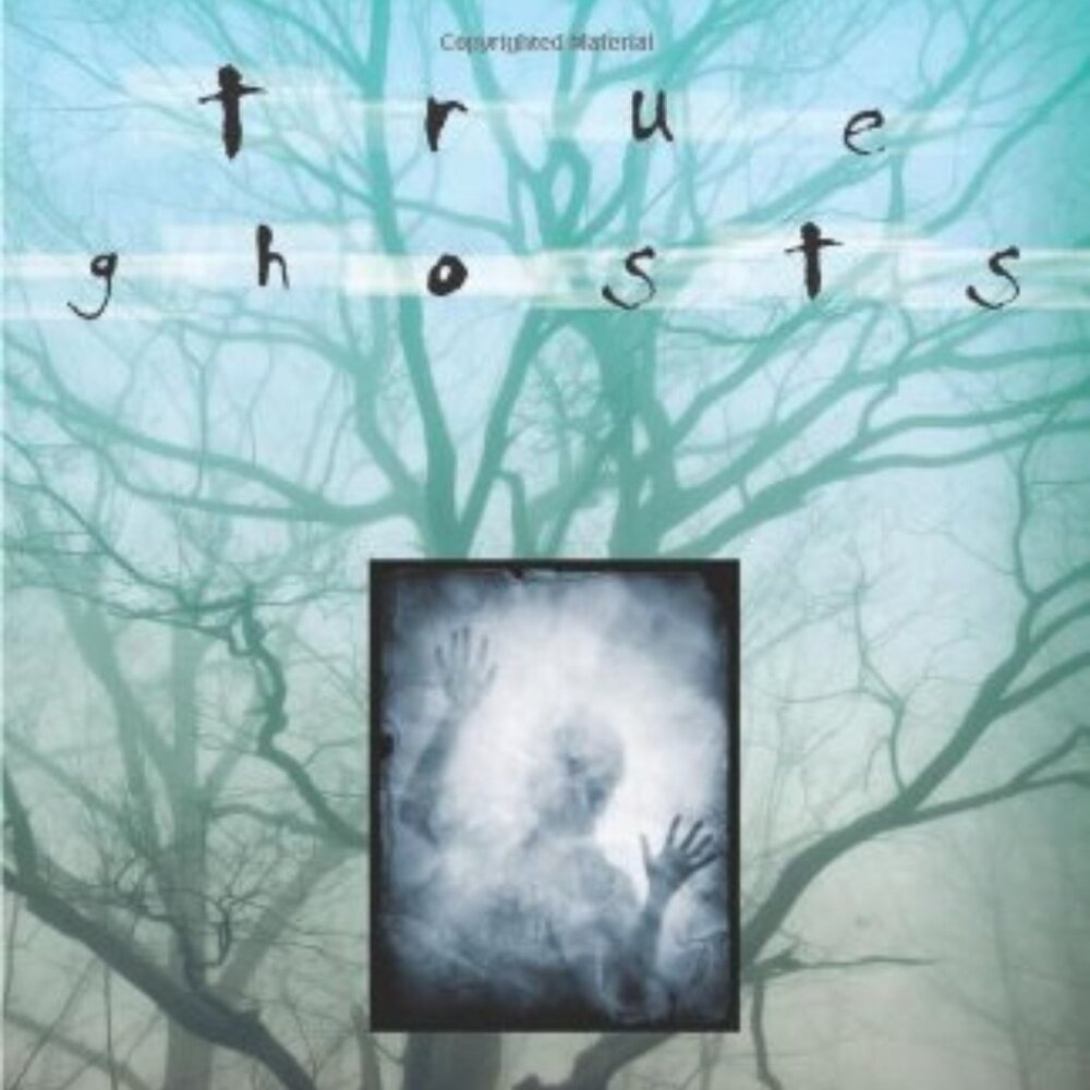 💥BOOK: True Ghosts: Haunting Tales From the Vaults of FATE Magazine (Paperback)